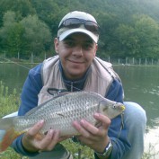 Carp on the fly